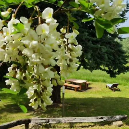 Dalla Fortezza Al Mare - La Vostra Casa A San Leo