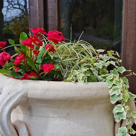 بيت للعطل Dalla Fortezza Al Mare - La Vostra Casa A