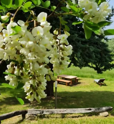 Dalla Fortezza Al Mare - La Vostra Casa A San Leo