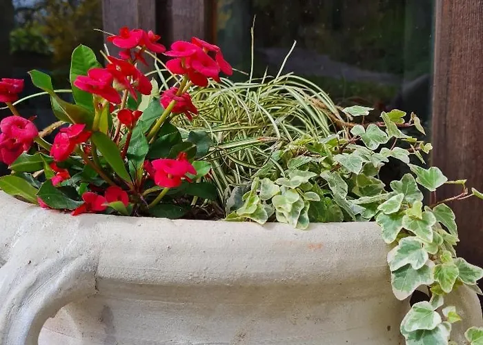 Semesterbostad Dalla Fortezza Al Mare - La Vostra Casa A